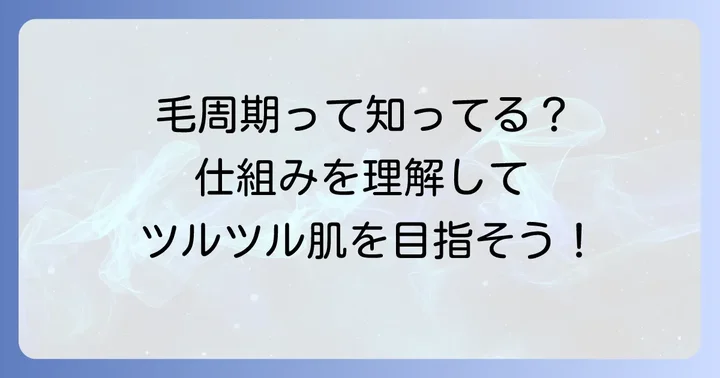 毛の成長サイクル「毛周期」の基礎知識
