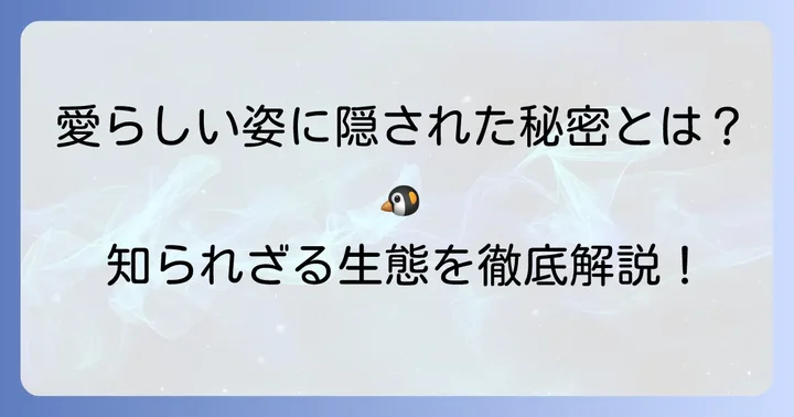 ケープペンギンの生態と特徴