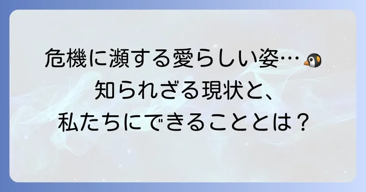 絶滅危惧種ケープペンギンの現状と保護活動