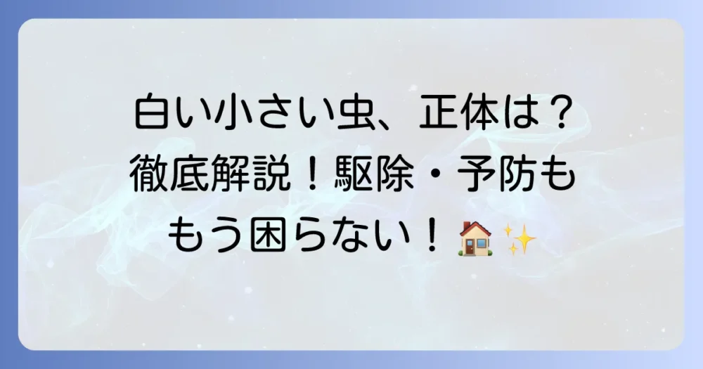 家の中に白い小さい飛ぶ虫！その正体と駆除・予防の徹底解説