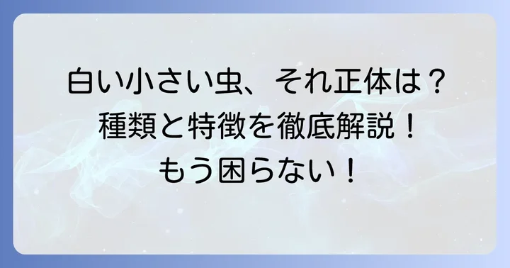 家の中で見かける白い小さい飛ぶ虫の正体は？主な種類と特徴