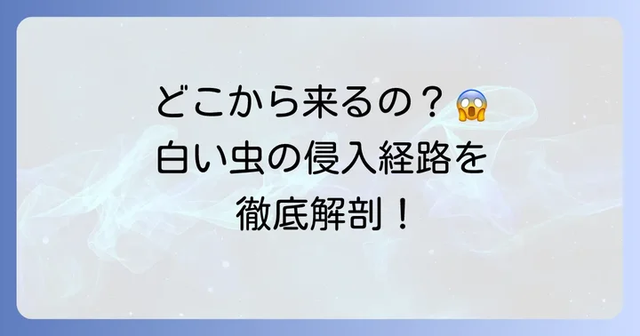 白い小さい飛ぶ虫はどこから来る？発生源と侵入経路