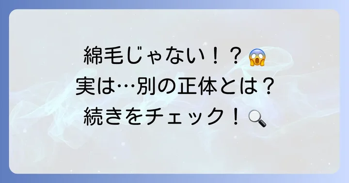 綿毛と間違えやすいもの：植物以外の「ふわふわ」