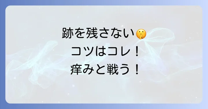 毛虫皮膚炎の期間と跡を残さないためのコツ