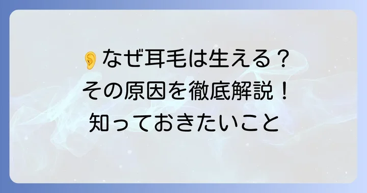 なぜ耳毛は生える？その原因とメカニズム