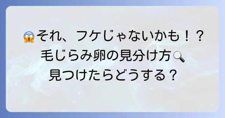 毛じらみの卵とは？その特徴を理解しよう