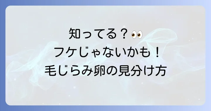 毛じらみに関するよくある質問