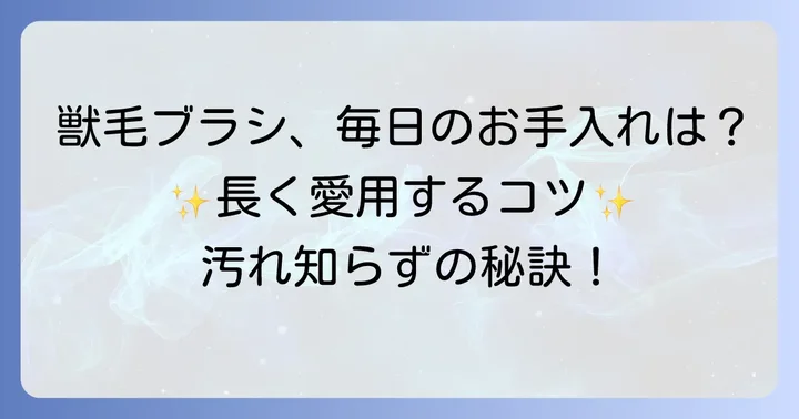 獣毛ブラシを清潔に保つ毎日のお手入れと予防策