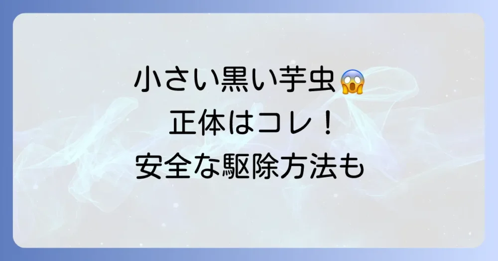 家にいる小さい黒い芋虫の正体は?種類と安全な駆除方法