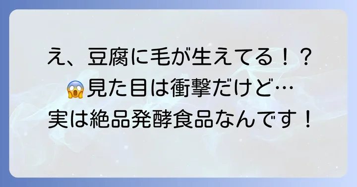 毛豆腐とは？「危険」と感じる見た目の正体