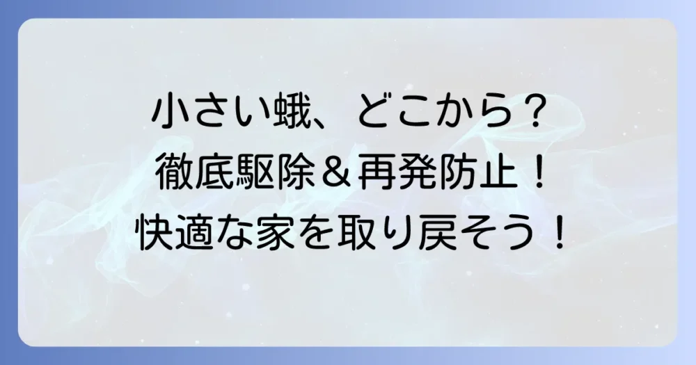 小さい蛾が家の中に！種類特定から徹底駆除と再発防止策まで