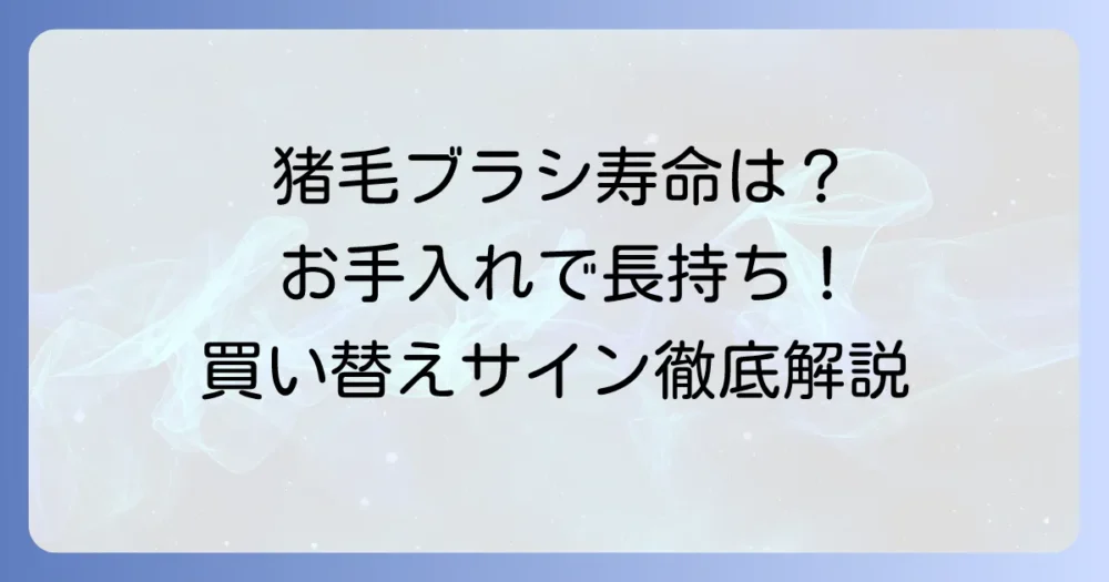 猪毛ヘアブラシの寿命はどのくらい？長持ちさせるお手入れ方法と買い替え時期を徹底解説