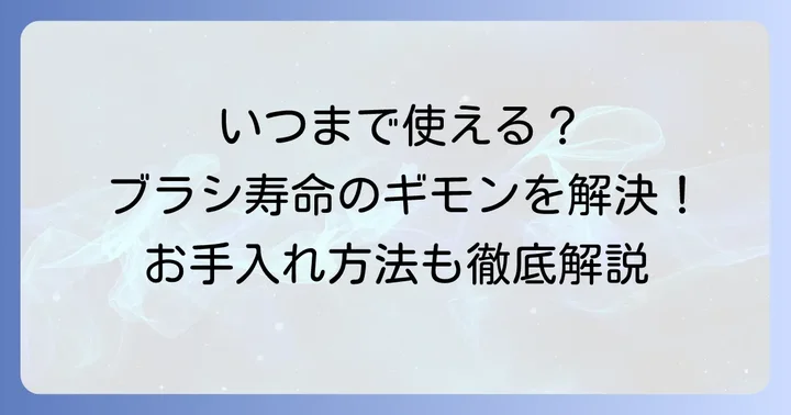 猪毛ヘアブラシの寿命はどのくらい？一般的なヘアブラシとの違い