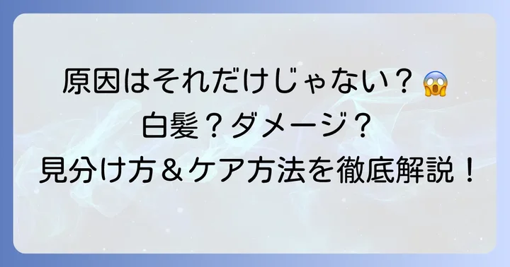 毛先が白いのに根元が黒い髪の毛、その主な原因とは？