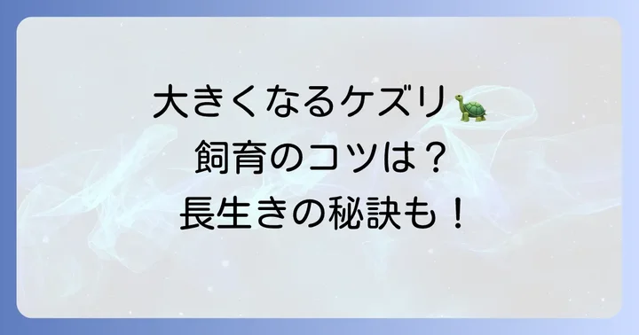 ケズメリクガメを飼う前に知っておきたい飼育のコツ