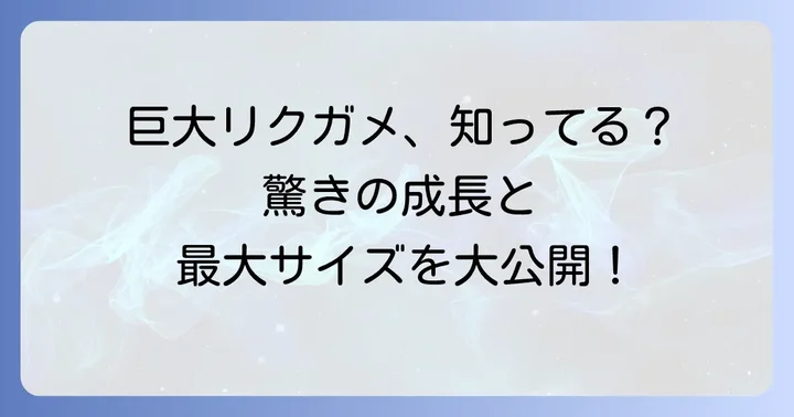 ケズメリクガメの大きさはどれくらい？驚きの成長と最大サイズ