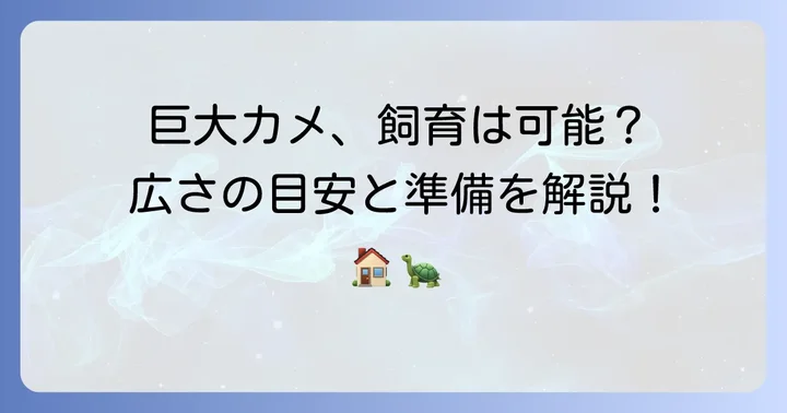 ケズメリクガメの大きさに合わせた飼育スペースの確保