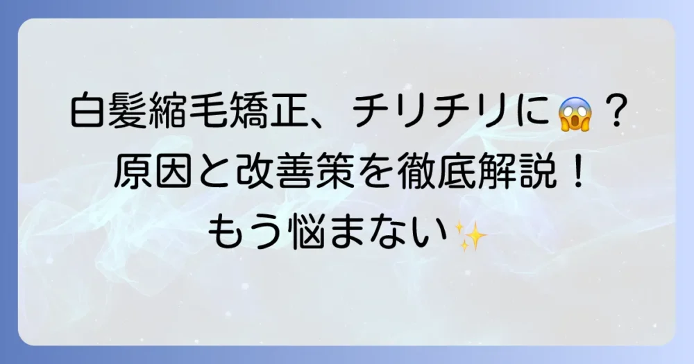 白髪の縮毛矯正でチリチリになる原因と対策を徹底解説！