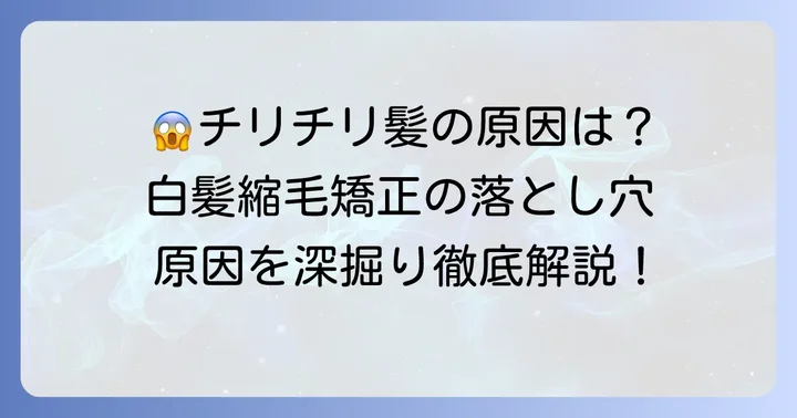 白髪の縮毛矯正で髪がチリチリになるのはなぜ？主な原因を深掘り