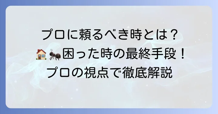 プロの害虫駆除業者に依頼する判断基準とタイミング
