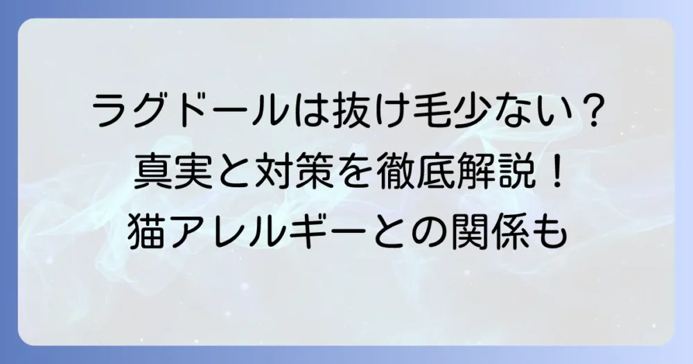 ラグドールは毛が抜けない猫ではない？抜け毛の真実と効果的な対策を徹底解説！