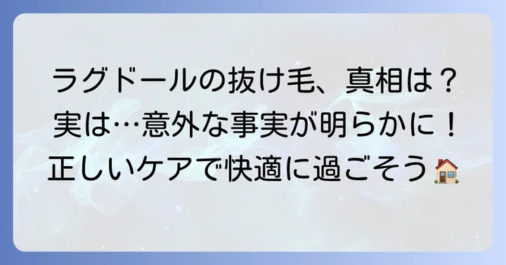 ラグドールは「毛が抜けない猫」ではない？抜け毛の真実