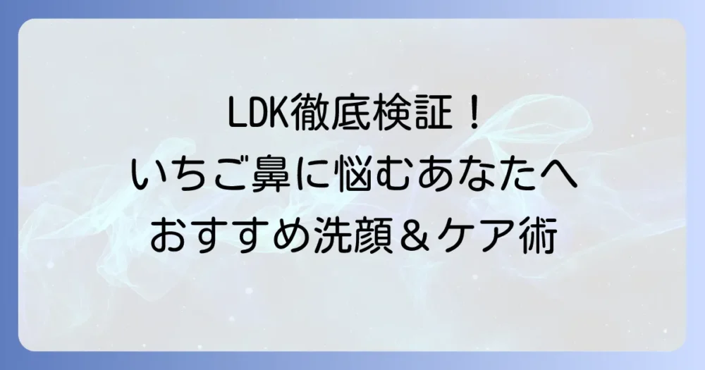 LDKが毛穴黒ずみ洗顔料を徹底解説！いちご鼻に悩むあなたへおすすめアイテムと正しいケア