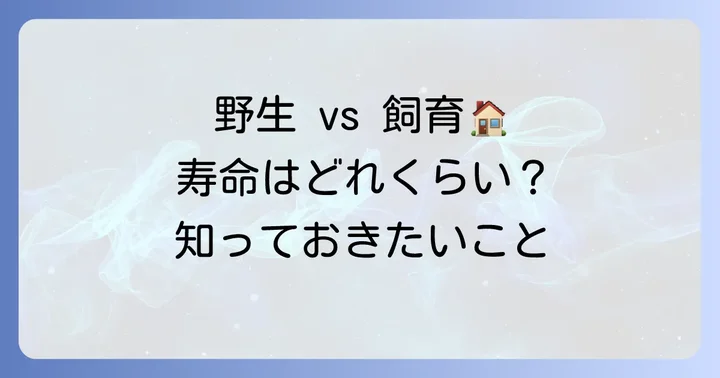 ケープハイラックスの平均寿命はどれくらい？野生と飼育下の違い