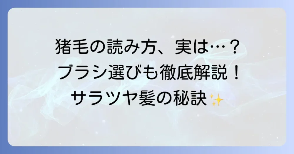 猪毛の読み方と意味を徹底解説！ブラシの選び方やお手入れ方法も