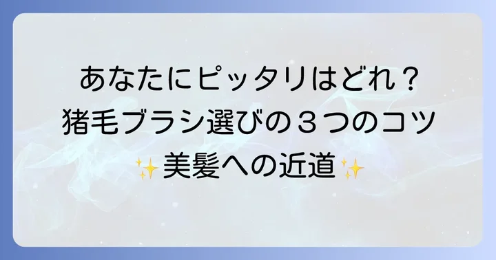 あなたにぴったりの猪毛ブラシを選ぶコツ