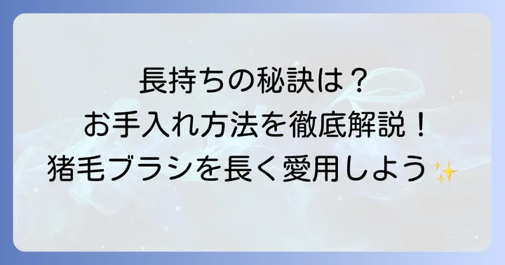 猪毛ブラシの正しい使い方とお手入れ方法