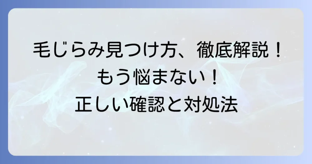 毛じらみの見つけ方：徹底解説！正しい確認方法と対処の第一歩