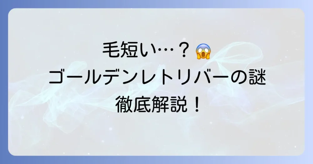 ゴールデンレトリバーの毛が短いのはなぜ？短毛種やカットの疑問を徹底解説