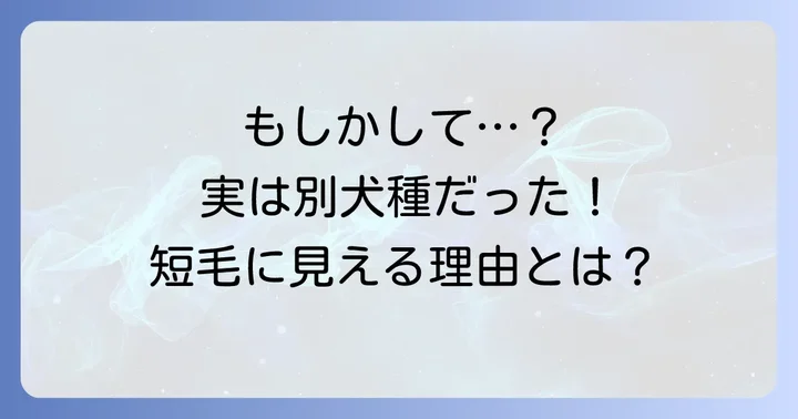 「毛が短いゴールデンレトリバー」に見える犬の正体