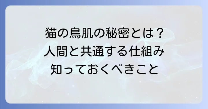 猫の毛が逆立つ仕組みとは？人間の鳥肌と共通点