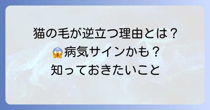 猫の毛が逆立つ主な理由：病気以外のケース