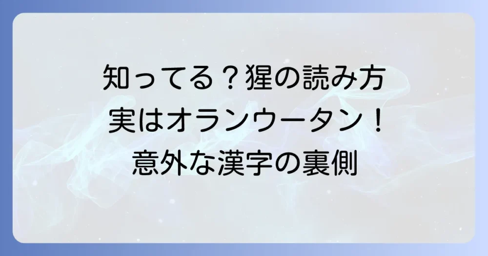 「けものへんに星」と書く漢字「猩」の読み方や意味、熟語を徹底解説
