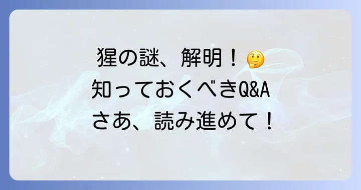 漢字「猩」に関するよくある質問