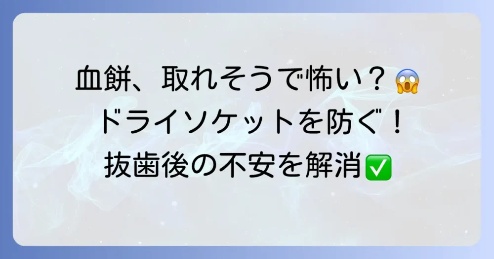 「血餅が取れそうで怖い」抜歯後の不安を解消する対処法とドライソケット予防策