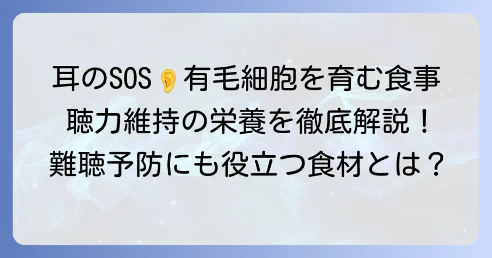 有毛細胞を再生させる食べ物で耳の健康を育む！聴力維持と難聴予防に役立つ栄養素を徹底解説
