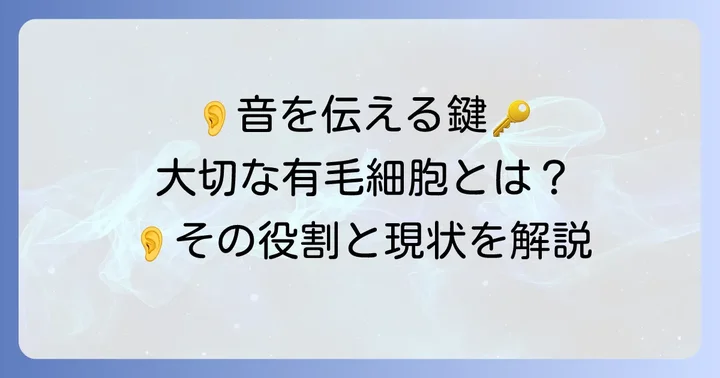 耳の健康を守る有毛細胞とは？その大切な役割と現状