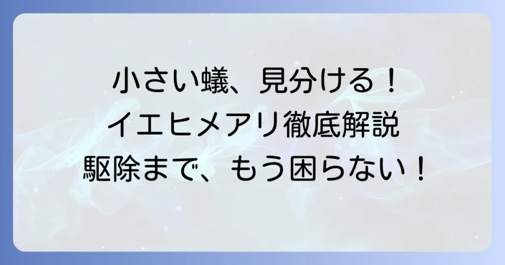 小さいイエヒメアリの種類を特定！見分け方から駆除対策まで徹底解説