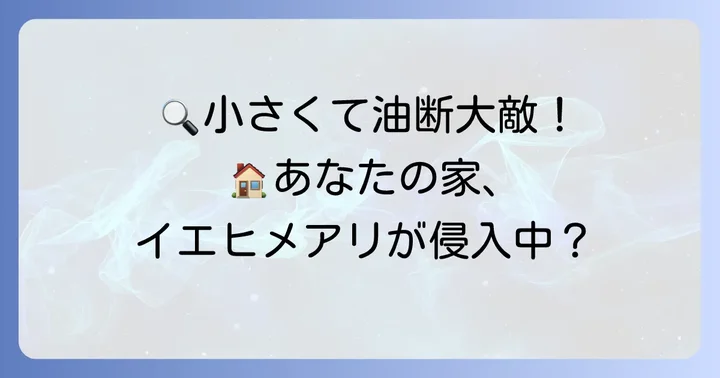 家で見かける小さい蟻、イエヒメアリとは？その特徴と生態