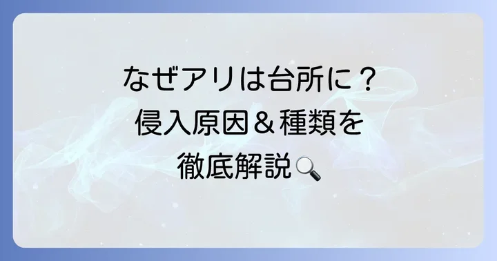 台所に小さいアリが出るのはなぜ?その原因と種類を徹底解説