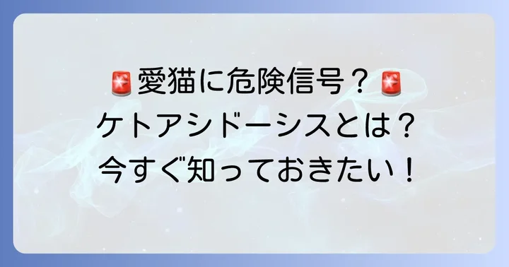猫のケトアシドーシスとは？緊急性の高い病気を理解する