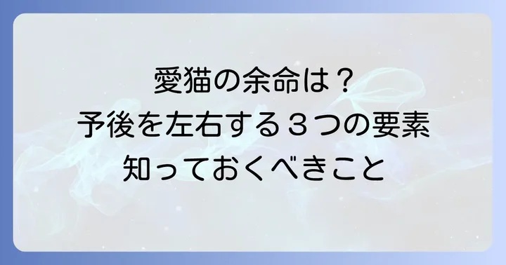 猫のケトアシドーシス余命はどれくらい？予後を左右する要素
