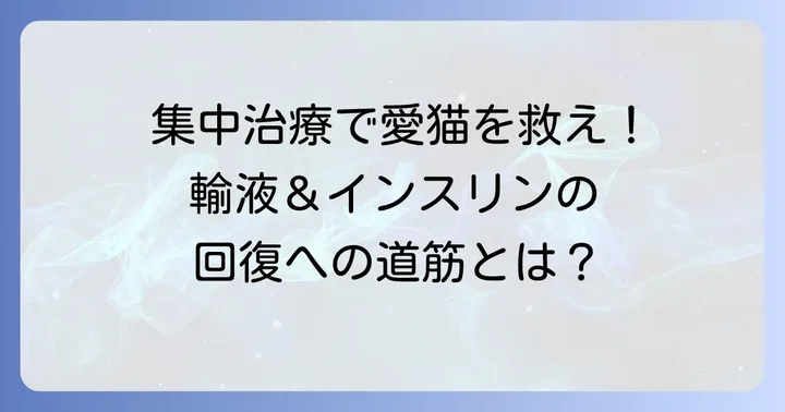 ケトアシドーシスの治療方法と回復への道筋