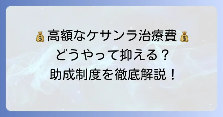 ケサンラ治療にかかる費用と医療費助成制度