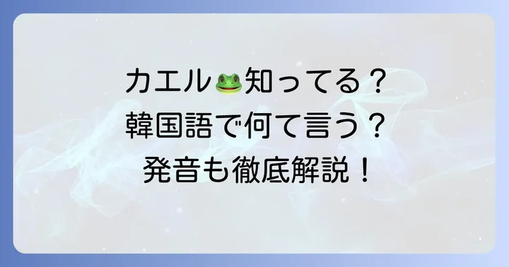 ケグリ韓国語とは？基本的な意味と発音