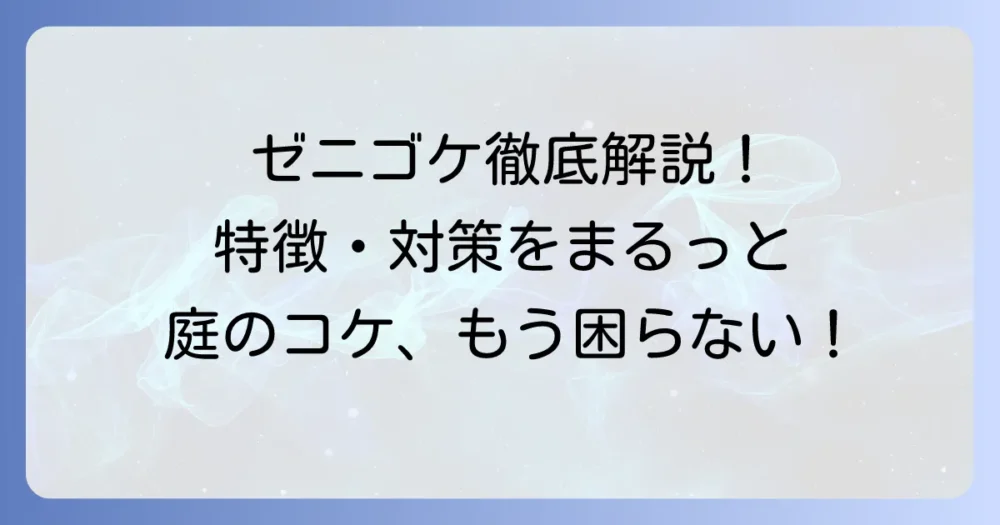 ゼニゴケとはどんな植物？特徴から生態、対策まで徹底解説